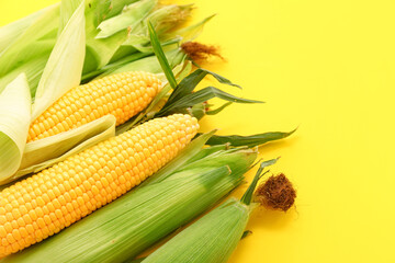 Fresh corn cobs on yellow background