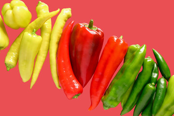 Different fresh peppers on red background