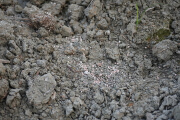 Fertilizer on the ground for increase the fertility of the soil