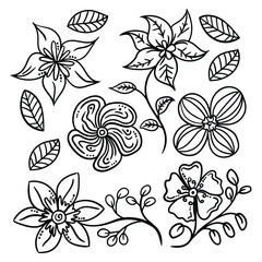 Floral line art collection. Hand drawn of flowers, leaves, and stalks.