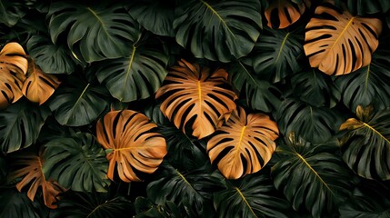 Naklejka premium Tropical Paradise: A Lush Tapestry of Monstera Leaves