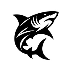 Whale shark vector illustration of white  background 