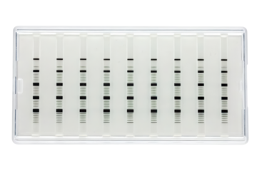 DNA electrophoresis highlighting genetic variations isolated with transparent background