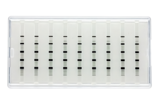DNA electrophoresis highlighting genetic variations isolated with transparent background