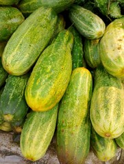 cucumbers in the market