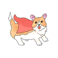 マントを被ったコーギー犬
