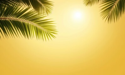 Tropical sunlit palm leaves