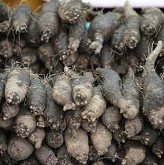 시장에 전시되어 있는 더덕 뿌