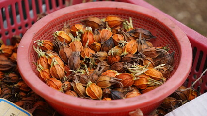 빨간 바구니에 담겨 있는 치자 열매