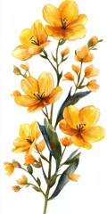Beautiful watercolor illustration of vibrant yellow flowers on a soft background showcasing delicate petals and green foliage