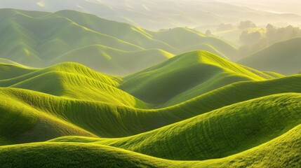 Serene rolling hills of lush green fields with sunlit patterns
