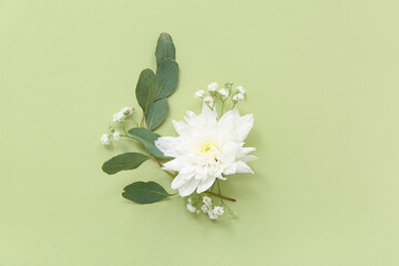 Beautiful composition with white flowers and green leaves on green background