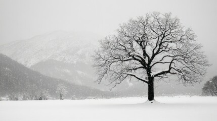 A Large Tree Covered With Snow Stands In A Winter Landscape