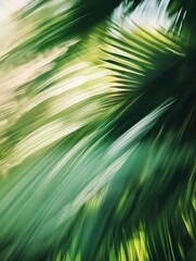 Obraz premium Tropical Palm Leaf Abstract for Blurred Motion.