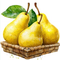 Watercolor Painting of Three Ripe Yellow Pears in a Brown Basket