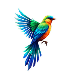 Colorful Bird