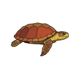 Naklejka premium Turtle Illustration