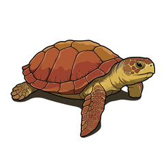 Naklejka premium Turtle Illustration Design