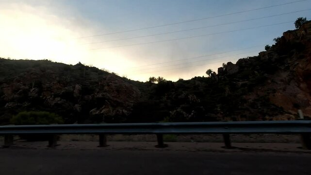 Arizona Driving 1754 Highway Tempe Sunflower