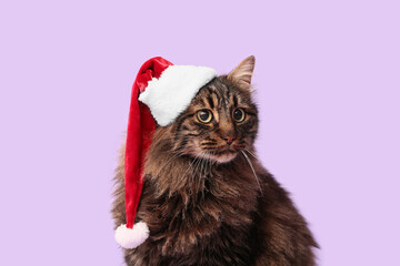 Cute cat in Santa hat on lilac background
