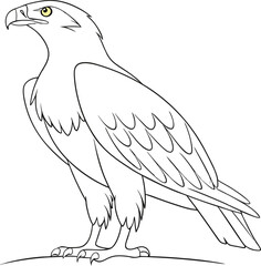 vector drawing of a bird
