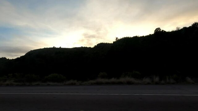 Arizona Driving 1760 Highway Tempe Sunflower