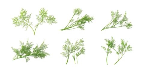 Pack Dim Sum Set Against Transparent Background for Asian Cuisine Promotion, Restaurant Branding, or Food Packaging