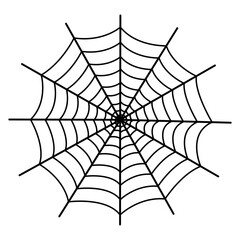 Spider web isolated on white background.