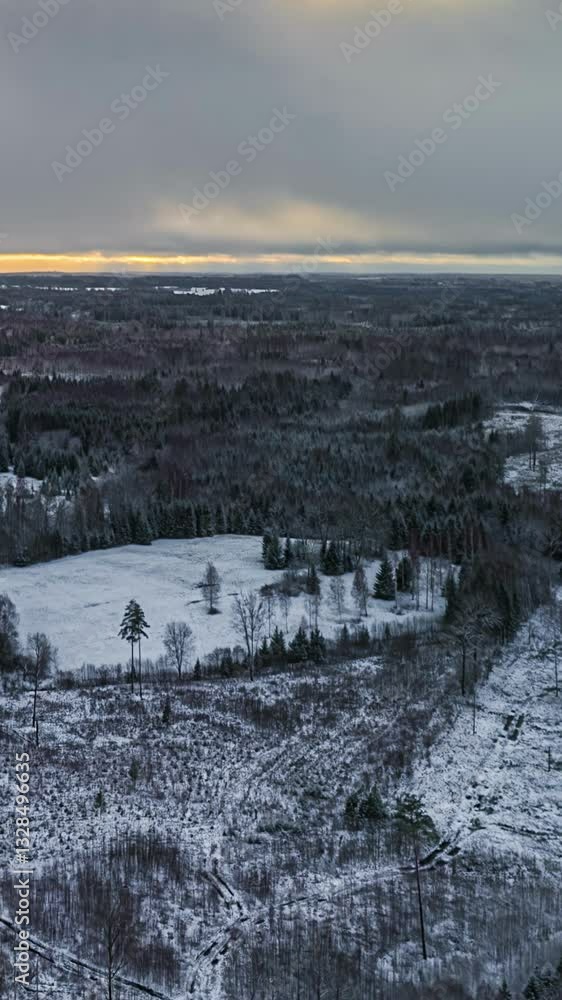 Poster snowy winter landscape with aerial view and hyperlapse motion of trees and fields
