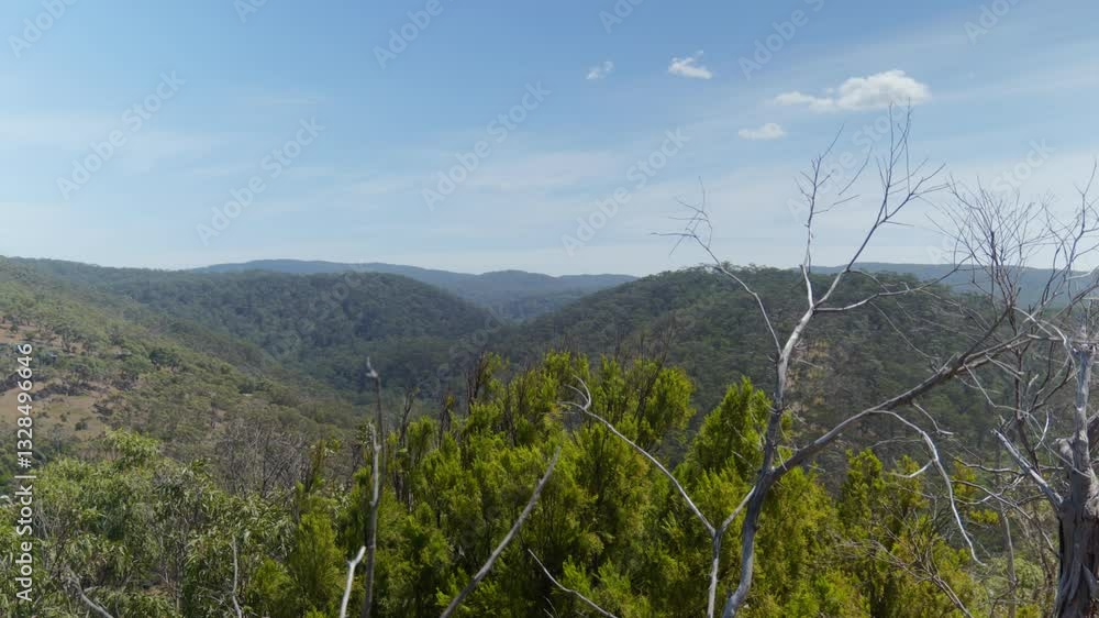 Poster a wide shot of rolling hills seen through tree branches, creating a layered perspective of nature an