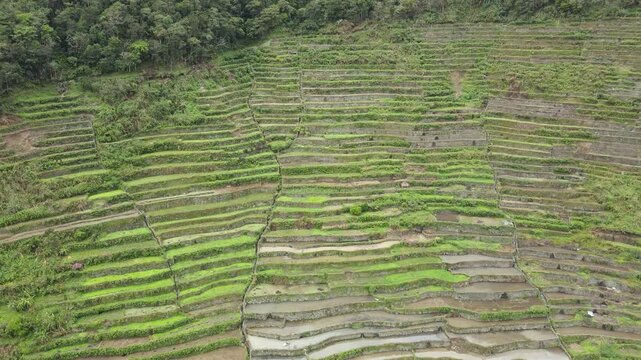 Awe-inspiring aerial view of the Batad Rice Terraces, showcasing intricate, centuries-old steps carved into the mountains, a testament to the Ifugao people's agricultural mastery