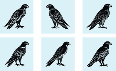 Obraz premium Falcon Silhouette vector