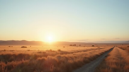 Naklejka premium Crisp morning tundra bathed in golden light, frost-covered grasses stretching to the horizon under a clear blue sky. A refreshing and serene professional landscape photo.