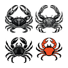 crab isolated on white