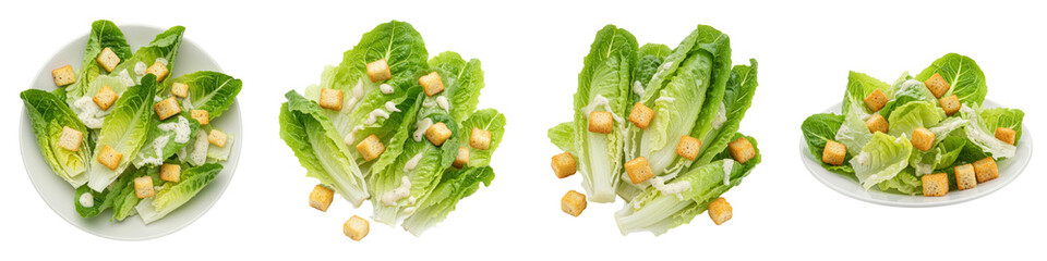 Simple Romaine Salad with Caesar Dressing, Cut Out Set