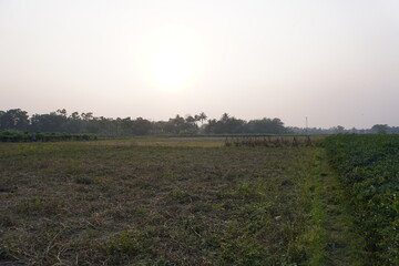 Obraz premium The unplowed plot beside the agricultural field 