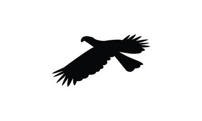 Flying African grey hornbill bird Silhouette Design  And Vector Illustration. 