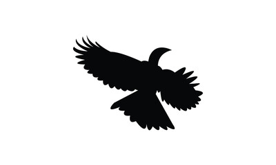 Flying African grey hornbill bird Silhouette Design  And Vector Illustration. 