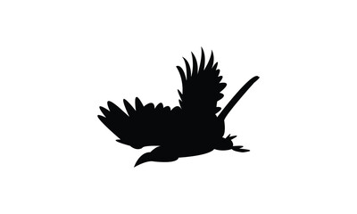 Flying African grey hornbill bird Silhouette Design  And Vector Illustration. 