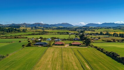 Fototapeta premium Aerial View of Lush Green Pastures and Rolling Hills Under a Bright Blue Sky in a Scenic Rural Landscape in New Zealand