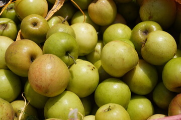 A pile of green apples are arranged for sale in a fruit market 