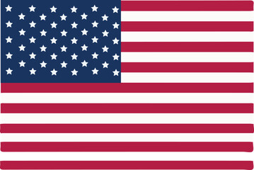 The American Flag Vector
