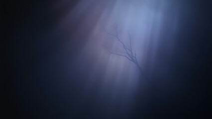 Mystical Fog and Shadows in a Tranquil Forest: Ethereal Tree Silhouettes and Moody Morning Light