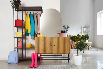 Interior of hallway with mirror, coat rack and plant