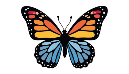 Colorful butterfly illustration with blue and orange wings