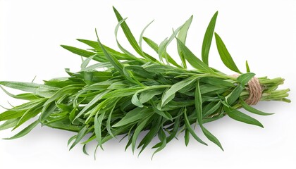 Fototapeta premium fresh tarragon herbs tarragon herbs close up isolated on transparent background