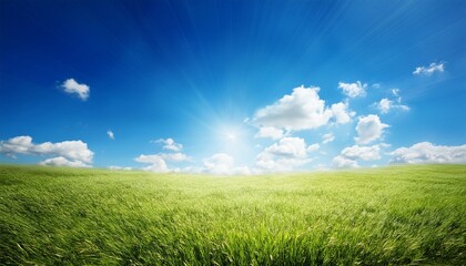 a bright fresh sunny spring summer blue sky background