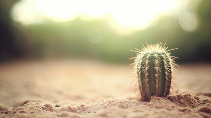 Solitary cactus stands tall against gentle dunes, symbolizing strength and perseverance in unforgiving landscapes.