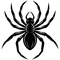 spider silhouette