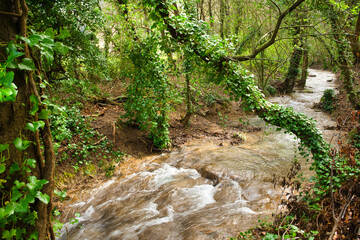 Parc de St. Pons bei Gemenos in Südfrankreich